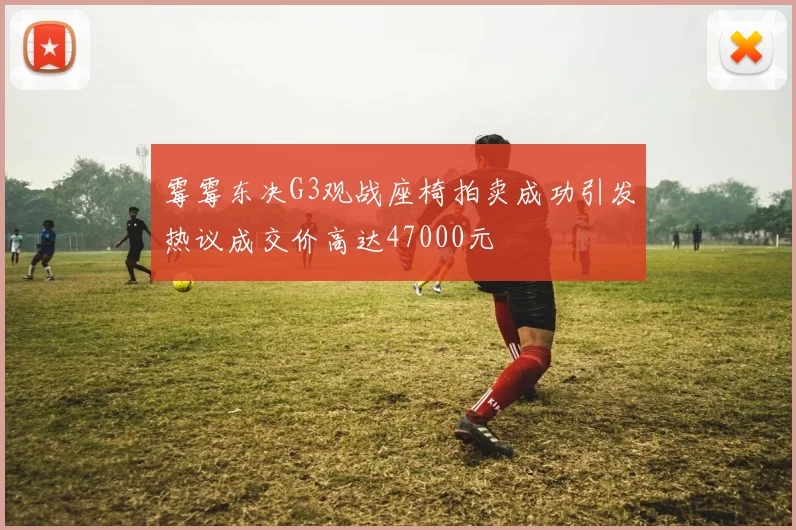 霉霉东决G3观战座椅拍卖成功引发热议成交价高达47000元