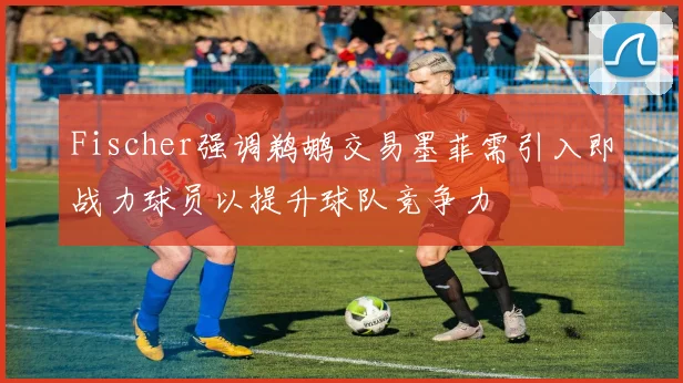 Fischer强调鹈鹕交易墨菲需引入即战力球员以提升球队竞争力